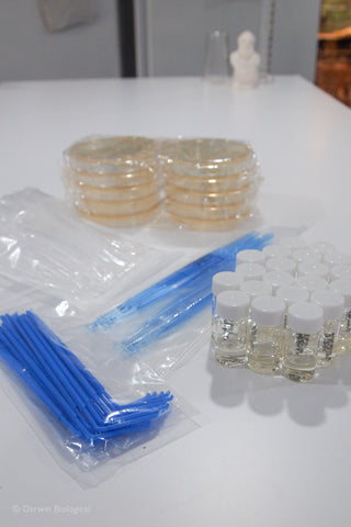Ready to use microbiology kit