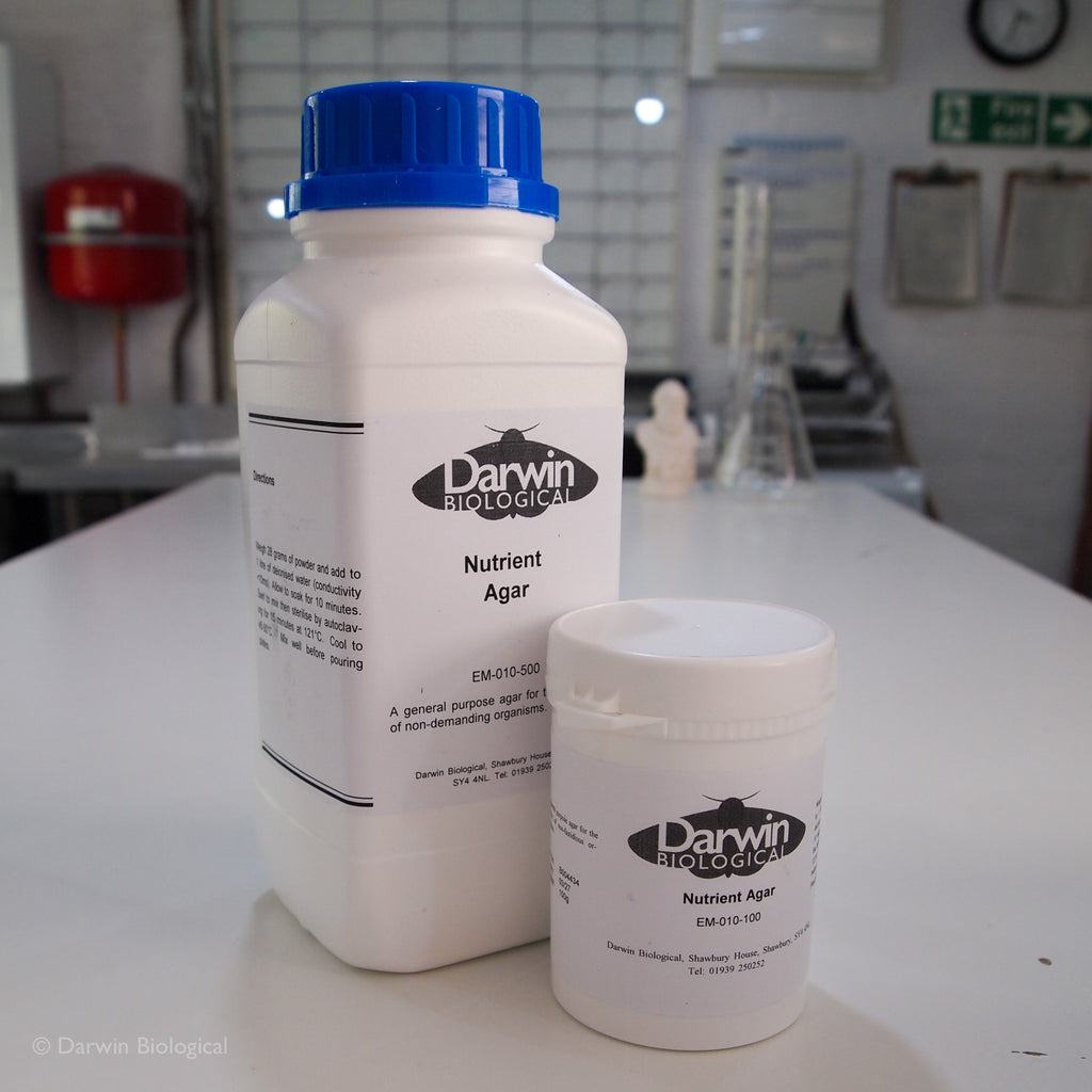 What Is A Nutrient Medium Images High Quality