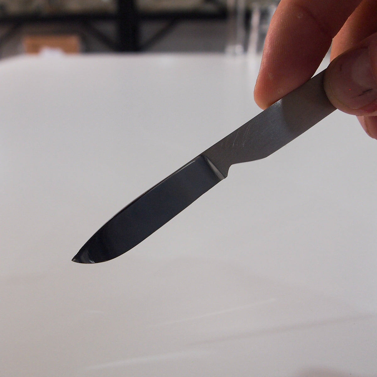 Scalpel Biology Supplies Darwin Biological