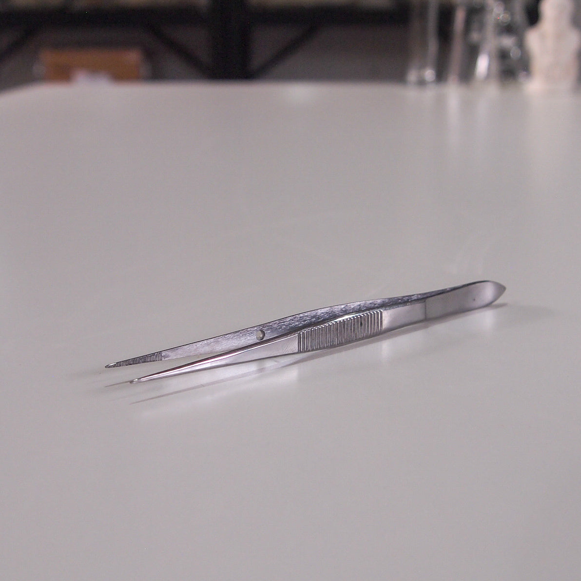 Forceps Fine Biology Supplies Darwin Biological