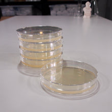 Load image into Gallery viewer, Nutrient Agar in Petri Dishes