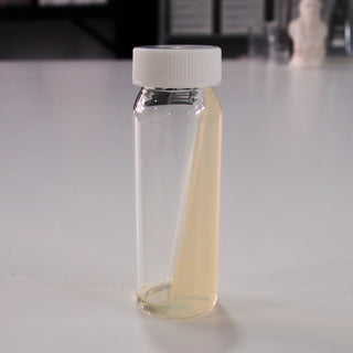 Nutrient Agar Slopes