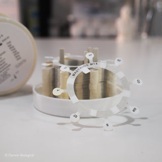 Gram Positive Mast Rings - 100pk