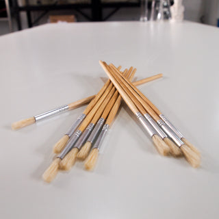 Drosophila Sorting Brushes