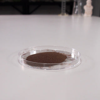 Brine Shrimp Eggs
