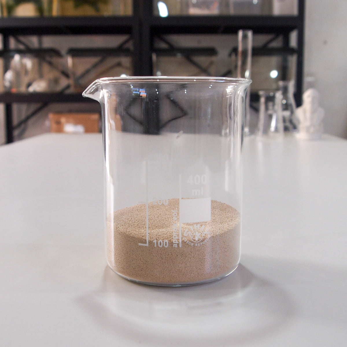 Bakers Yeast Biology Supplies Darwin Biological