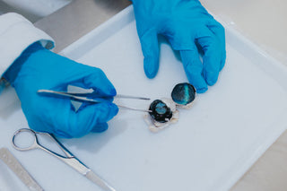Why hands-on science learning matters more than ever as practical experiments help bring biology to life