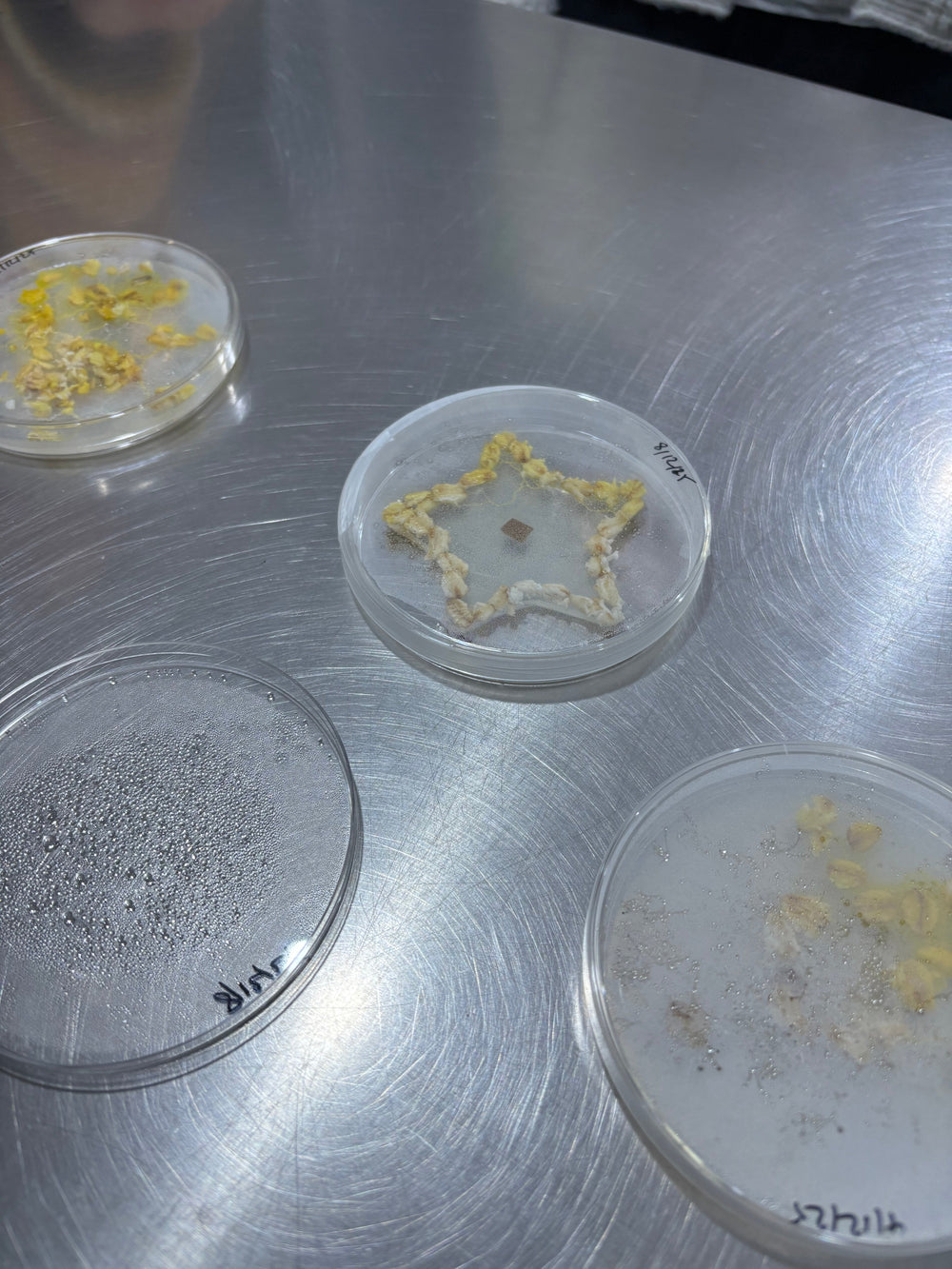 CLEAPSS Visit | Darwin Biological News