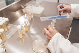 Bacteria Cultures