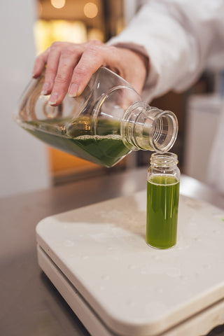 Algae & Protozoa