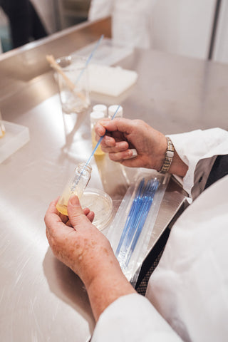 Bacteria culture being inoculated darwin biological