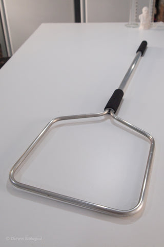 British Pond Net Head