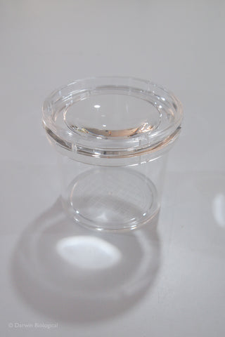 Clear plastic bug viewer with a magnifying lid