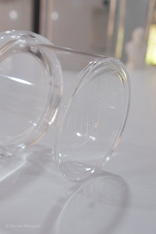 Clear plastic bug viewer with a magnifying lid