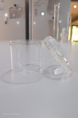 Clear plastic bug viewer with a magnifying lid