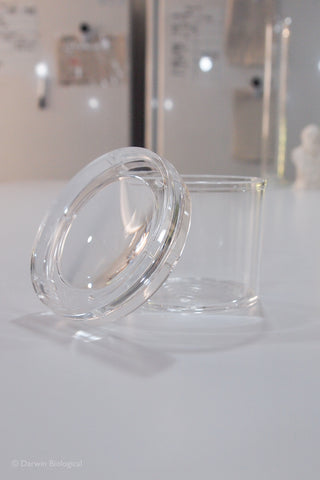 Clear plastic bug viewer with a magnifying lid
