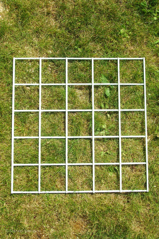 25 square Q2 white quadrat on grass