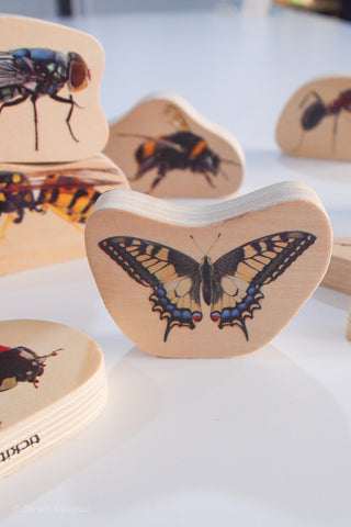 Wooden block with butterfly image and other insect blocks in background