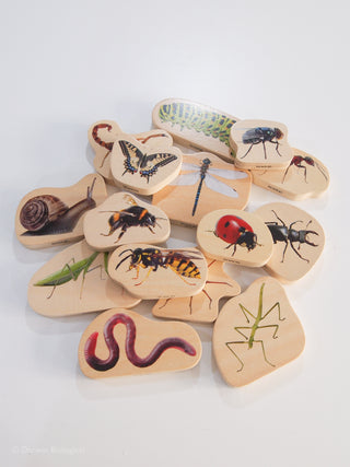 Wooden blocks with illustrations of insects on a white background