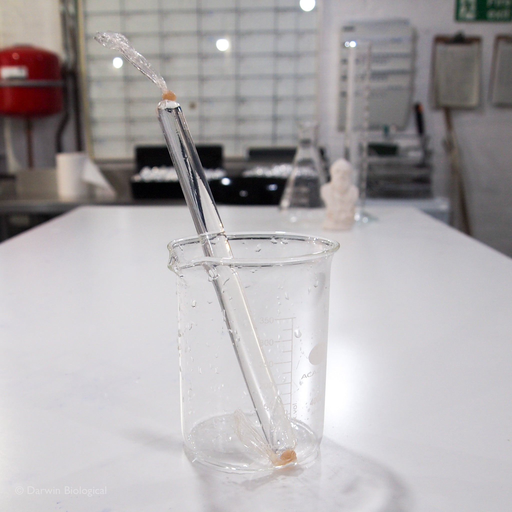 Visking Tubing Biology Supplies Darwin Biological