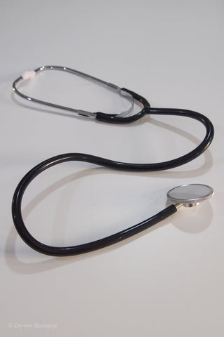 Stethoscope