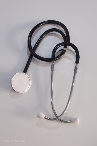 Stethoscope