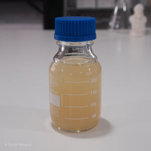 Agar Based Ready Prepared Drosophila Media