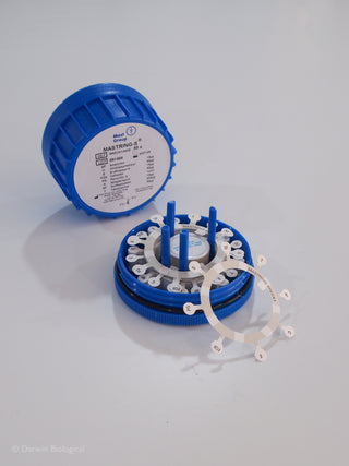 Mixed antibiotic susceptibility testing mast rings