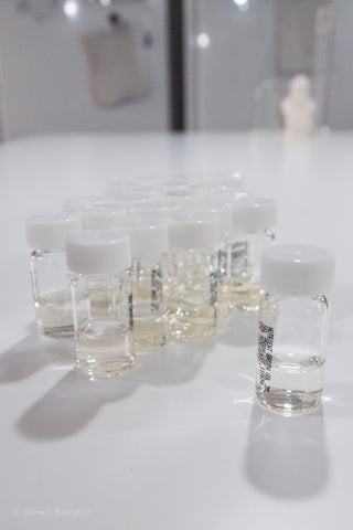 Nutrient Broth in bottles