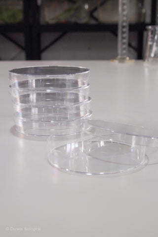 Stack of Sterile Petri Dishes 90mm