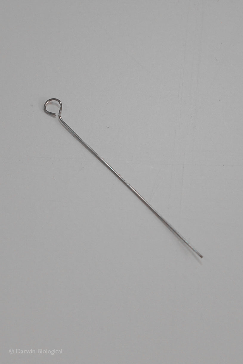 Inoculating Loops | Biology Supplies - Darwin Biological