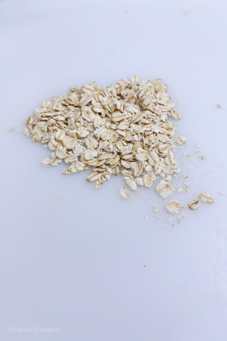Sterile Oat Flakes