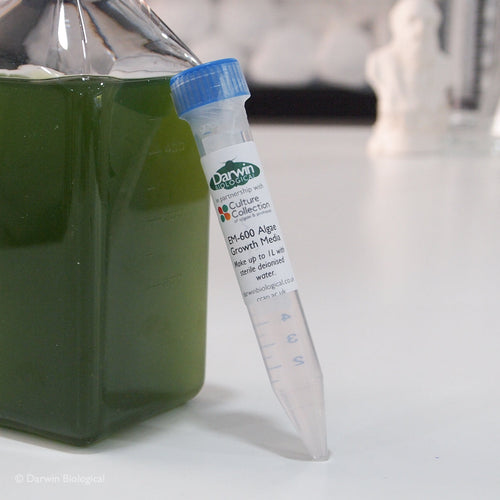 Marine Algae Growth Medium
