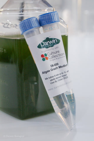 Algae Growth Medium leaning against scenedesmus