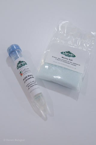 Saltwater Algae Growth Medium with Marine Salt