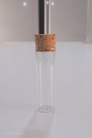 Large Glass Drosophila Tubes