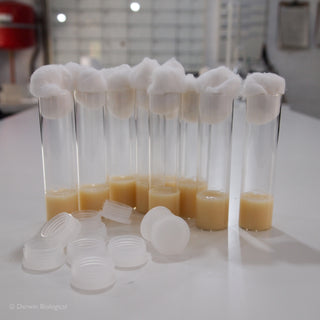 Drosophila Fruit Fly Media Tubes