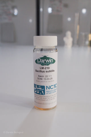 Bacillus subtilis bacteria culture with NCTC logo