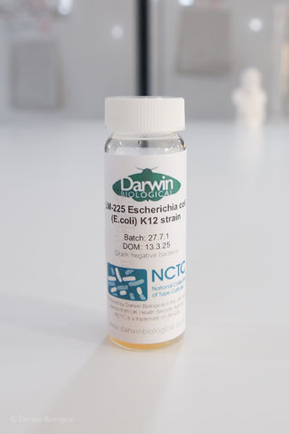 E.coli (Escherichia coli) K12 bacteria culture with NCTC logo