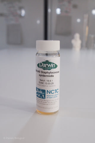 Staphylococcus epidermidis bacteria culture with NCTC logo