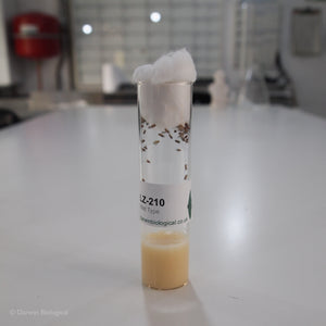 Drosophila Cotton Wool Stoppers