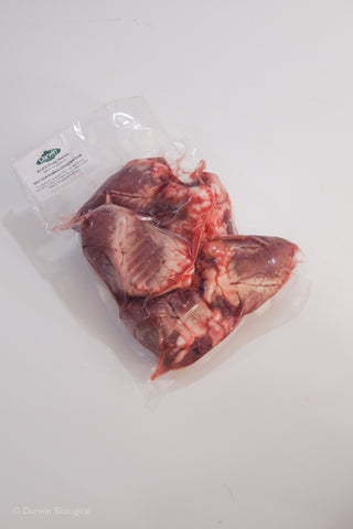 Frozen Sheep Hearts for Dissection Vacuum Packed 5pk