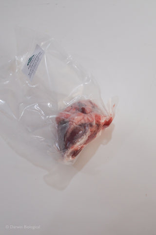 Frozen Sheep Heart for Dissection Vacuum Packed
