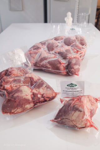 Frozen Sheep Hearts for Dissection Vacuum Packed