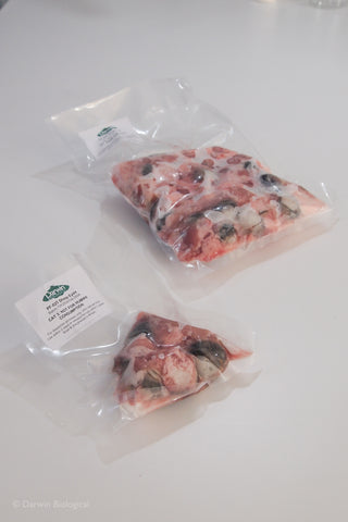 Vacuum Packed Frozen Sheep Eyes