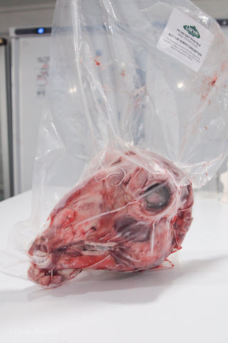 Frozen Split Sheep Head Vacuum Packed plastic bag specimen for dissection