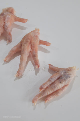 3 chicken feet