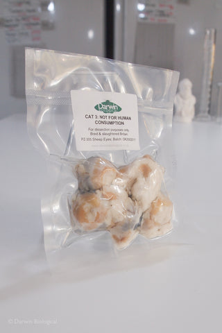 Vacuum Packed Preserved Sheep Eyes 5pk