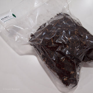 Broken Owl Pellets