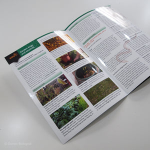 Garden Bugs and Beasties FSC Folding Field Guide Inside